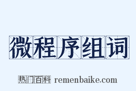 微程序组词是什么意思的图片